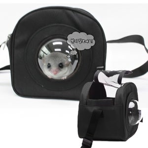 피그미 다람쥐 이동장 우주선가방