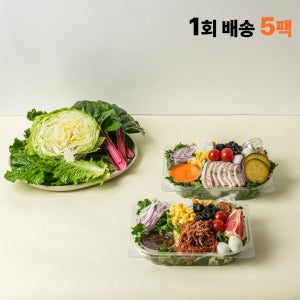 1주식단 5일 샐러드 포케 정기배송 식단 구독 배달 야채 도시락