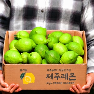 유기농 제주레몬 5kg, 1개