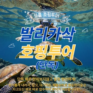 보홀 발리카삭 스노쿨링 호핑투어 [단독투어] 픽드랍,풀장비, 수중 사진/동영상 자유여행