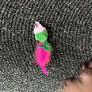 고양이 장난감 쥐돌이 쥐 돌이 캣 토이