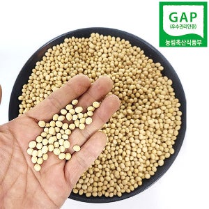국내산 콩나물콩 500g