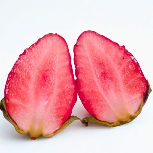 생딸기 금실 설향 죽향 당도선별 고당도 프리미엄 500g 1kg 선물