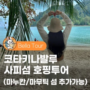 코타키나발루 사피섬 호핑투어 마누칸섬 씨워킹 패러세일링 점심식사 스노클링 자유여행