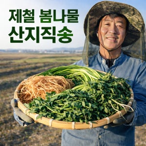 2026 이나무 제철 두릅 달래 머위 참나물 세발 방풍 명이나물