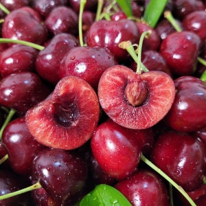 고당도 생 체리 수입산 달콤탱글 신선한 체리 10-10.5R 중과 2kg, 1개