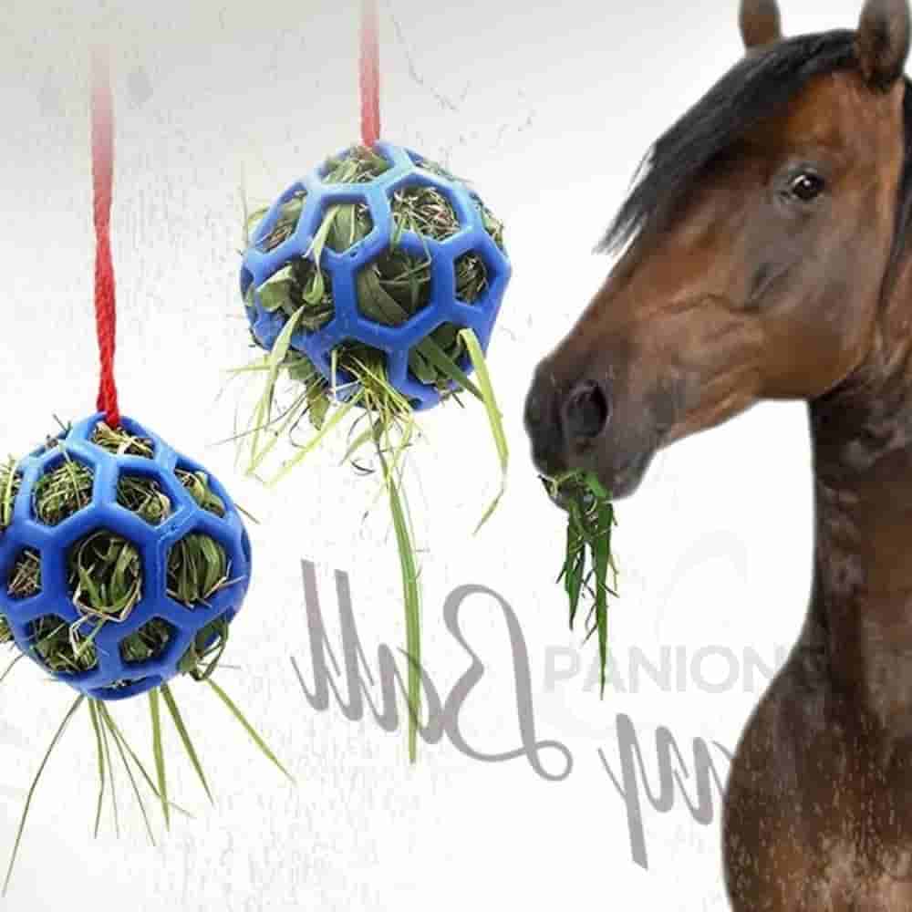 원샵 말 건초볼 말건초 양먹이주기 토끼먹이주기