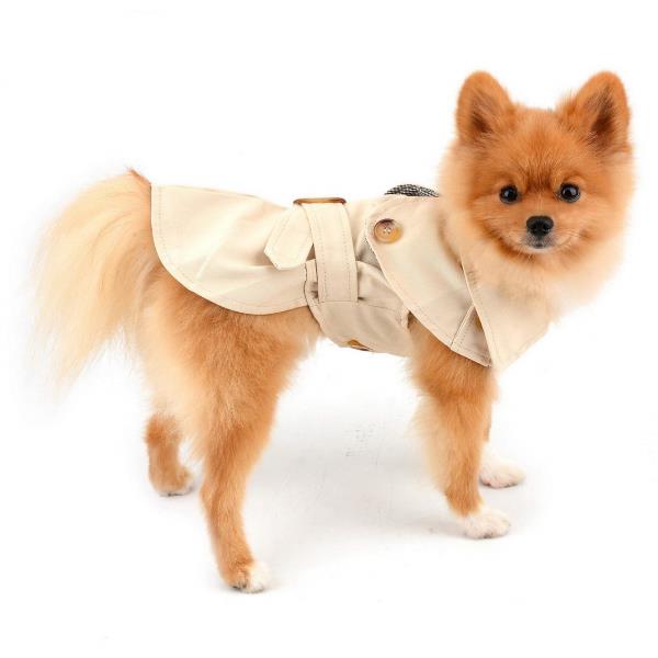 개트렌치 코트 작은 개를 위한 벨트가 있는 방풍 서양 재킷치와와 요키 강아지 가을 겨울 겉옷