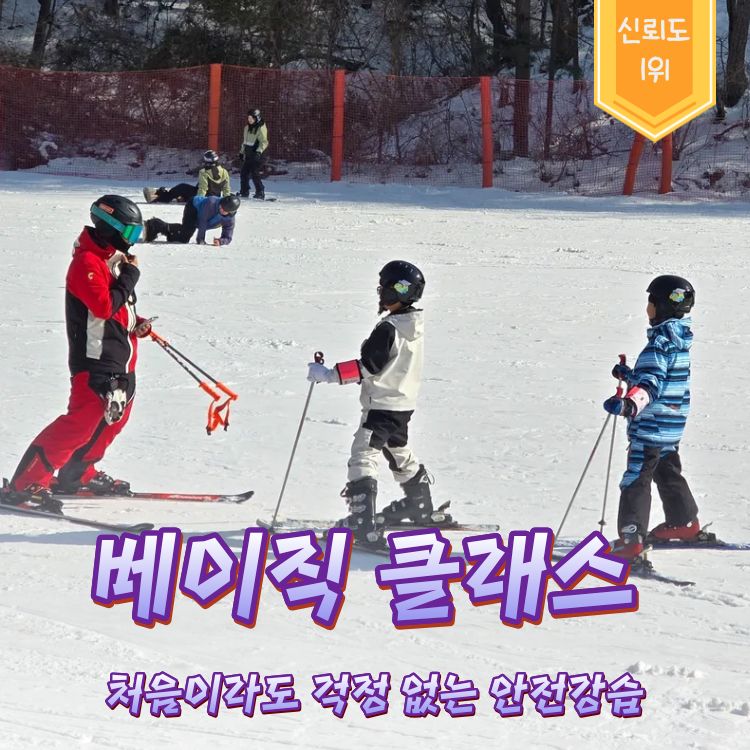 [홍천] 대명 비발디파크 베이직 3시간 스키,보드,인라인 강습 영어강습가능