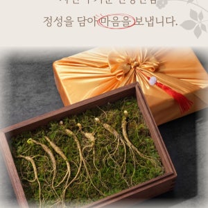 [1뿌리증정]국내산 8-9년근 10뿌리 선물세트 산삼 정삼 산양산삼 장뇌삼 추석 명절 선물