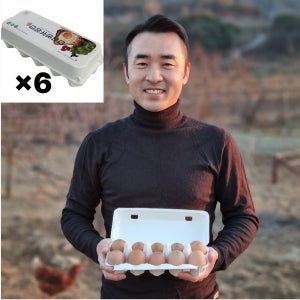 농장직송 [건강한 유정란]난각번호1번 계란 동물복지 자연방사 유정란 60구, 1개