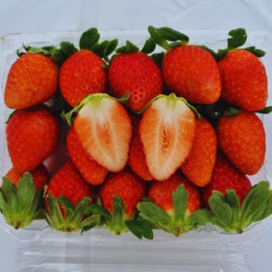 딸기 금실 제철 생딸기 500g 1kg