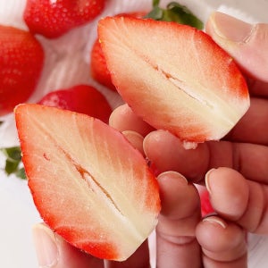 논산 설향딸기 제철 킹스베리 대왕 딸기 500g 1kg