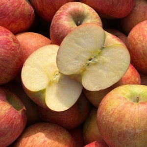 당도보장 고당도 15브릭스 부사사과 5kg