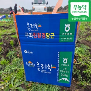 제주댁점빵 제주 구좌 국내 국산 당근 주스용 친환경 무농약 햇 흙 당근 5kg 10kg