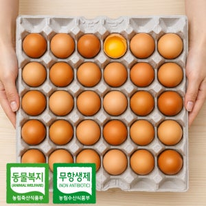 동물복지 무항생제 유정란 왕란 60구 [난각번호2번] HACCP