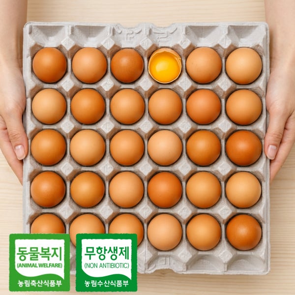 동물복지 무항생제 유정란 왕란 60구 [난각번호2번] HACCP