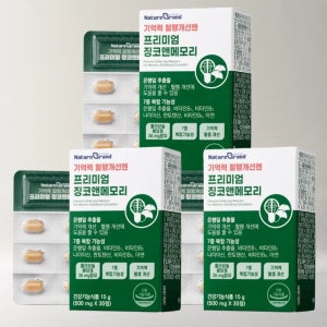 혈액순환 기억력 감퇴에 좋은 은행잎추출물 손발저림 진코민 징코빌로바 영양제 약 3개월분