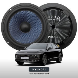 그랜저 GN7 파스 스피커 카오디오 전문업체 PHASS PI 165BL