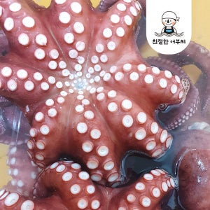국내산 자숙 통문어 돌문어 냉동 숙회 친절한어부씨 1.3kg, 1개