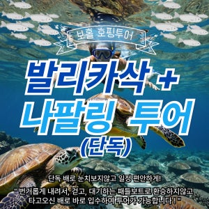 보홀 발리카삭 + 나팔링 스노쿨링 호핑투어 [단독 투어]