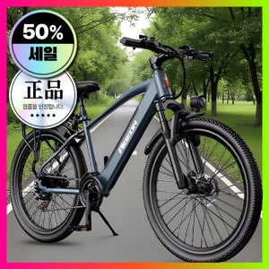 단이전자 고성능 전기자전거 배달 자토바이 2026년식 25Ah