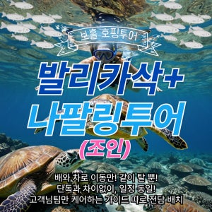 보홀 발리카삭과 나팔링 스노쿨링 호핑투어 [조인투어] 픽드랍,풀장비, 수중 사진/동영상