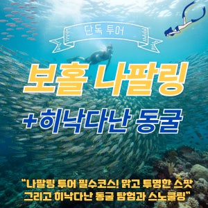 보홀 나팔링 와 히낙다난 단독 스노쿨링투어(스노쿨세트 오리발 구명조끼 고프로 픽드랍)
