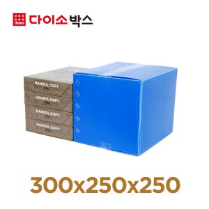 [다이소박스] 단프라 택배박스 5장 / 이사 포장 플라스틱 이삿짐