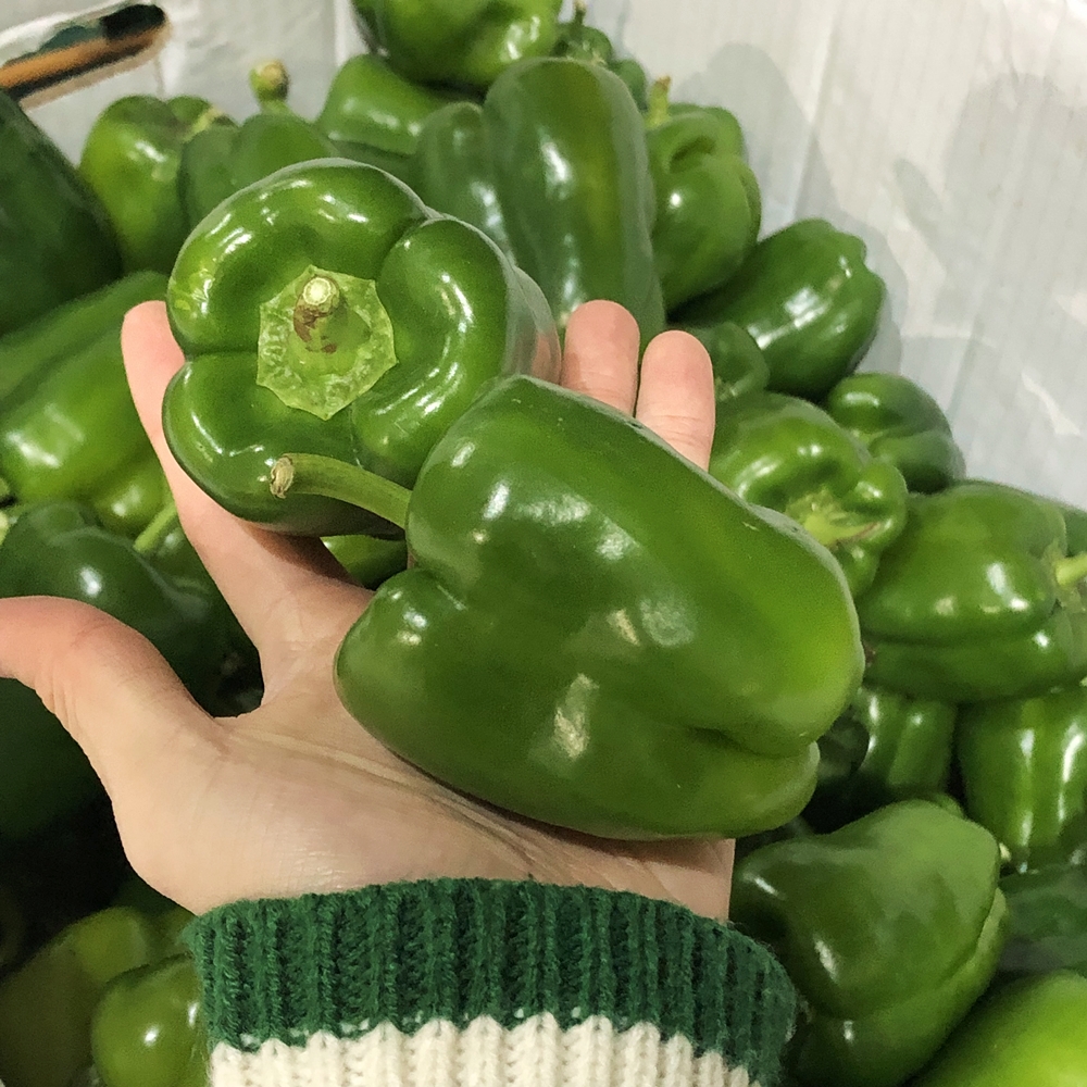 못난이 청피망 2kg, 1개