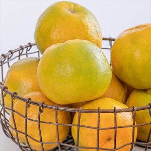 광고 메인 이미지