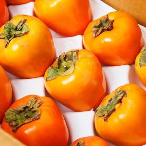 대봉감 5kg 10kg 해나미 무배 중과 중대과 대과 영암 홍시 산지직송