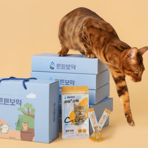 고양이 장어 츄르 선물세트 l 영양간식 6입 l 튼튼보약 프리미엄 간식