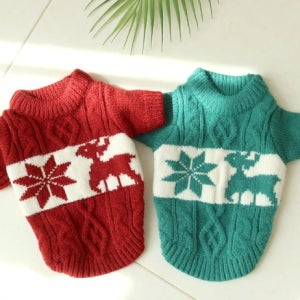 광고 메인 이미지