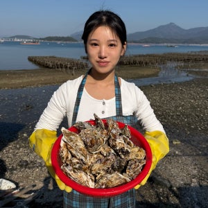 통영 제철 생굴 각굴 석화 삼배체 하프셀 벚굴 캠핑 구이용 굴 1kg