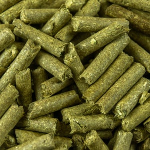 대용량 무첨가 수제 연맥 펠렛 5kg