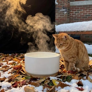 [캣츠허그] 길고양이 겨울집 얼지않는 물그릇 급식소