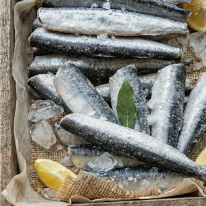 냉동 손질 꽁치 4kg 구이용 두절 조림용 벌크 업소용 식당용