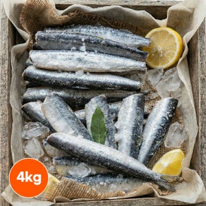 냉동 손질 꽁치 4kg 구이용 두절 조림용 벌크 업소용 식당용