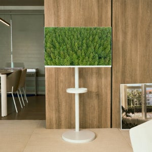 프레미디 스탠무빙 P2 유압식 삼텐바이미 81cm(32인치) FHD QLED tv 중소바이미 이동형티비 삼탠바이미