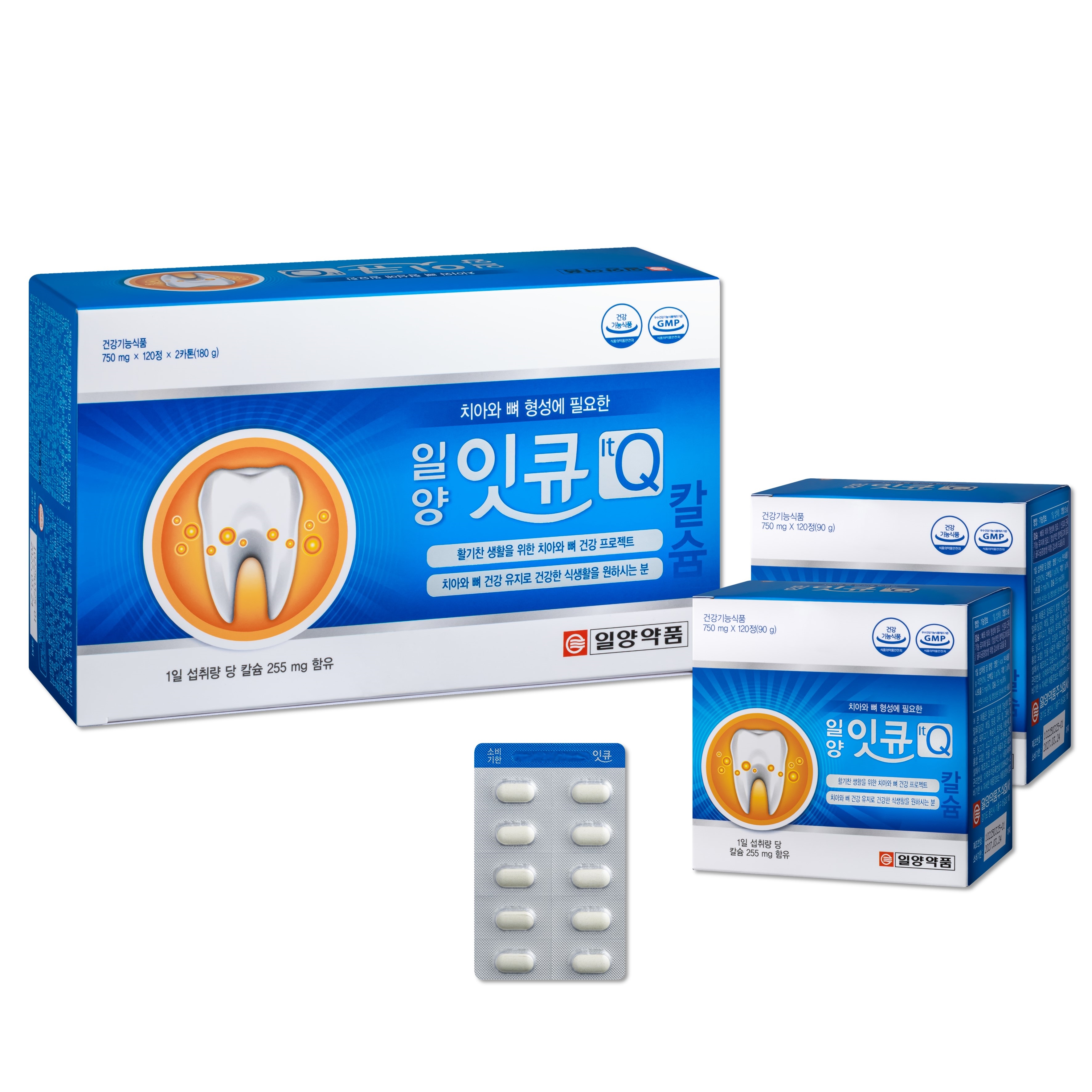 일양잇큐 240정 4개월분 치아 건강 뼈건강 칼슘 영양제