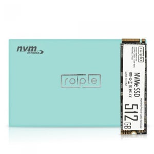 디오테라 ROIPLE Ray M.2 NVMe (512GB)
