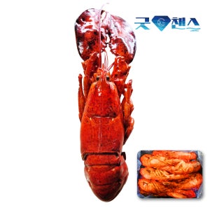 캐나다 자숙 랍스터 400-450g 10-11미 4.54kg 냉동랍스타 냉동 바닷가재