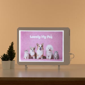 광고 메인 이미지