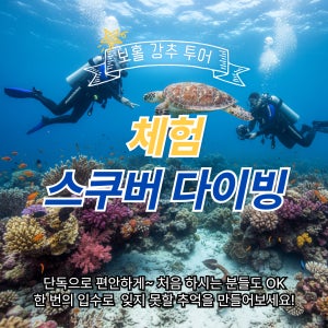 보홀 체험 스쿠버 다이빙 투어(장비 탱크 오리발 고프로촬영 픽드랍)포함