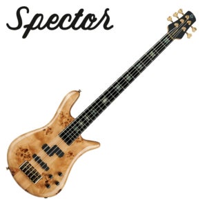 Spector 스펙터 베이스 EURO CST 5 Natural Gloss (EURO5CSTNAT)
