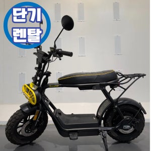 [단기렌탈] 러거드 1일 일주일 한달 대여 48V 25AH 배달 출퇴근 쿠팝 전기전동스쿠터
