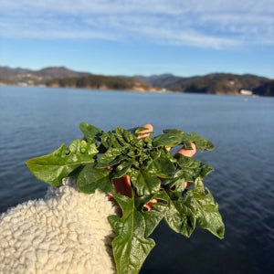 광고 메인 이미지