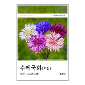 수레국화(혼합) 씨앗 400립