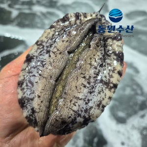 동원수산 산지직송 완도 활전복 크기별 특대 6미~15미 선물세트 + 전용손질칼